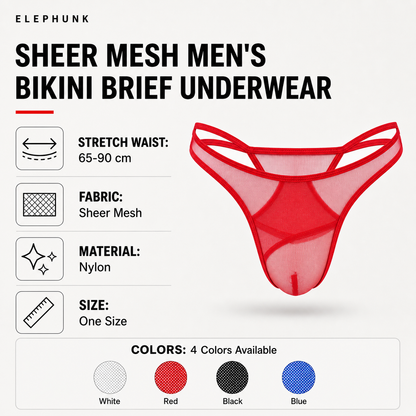 Sheer Mesh Bikini Briefs