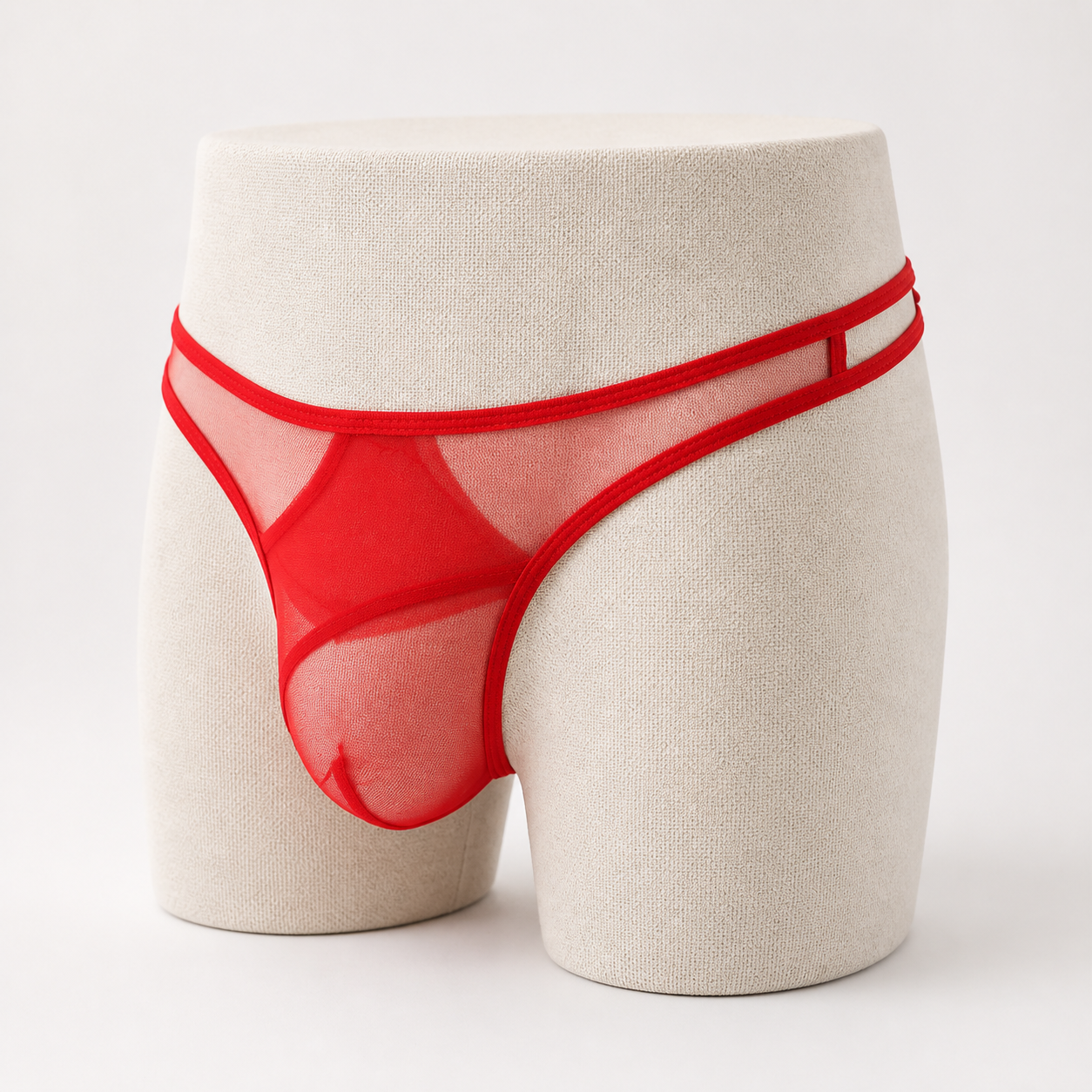 Sheer Mesh Bikini Briefs