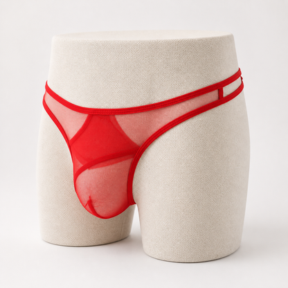 Sheer Mesh Bikini Briefs