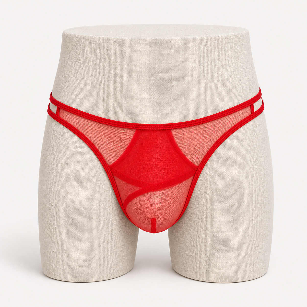 Sheer Mesh Bikini Briefs