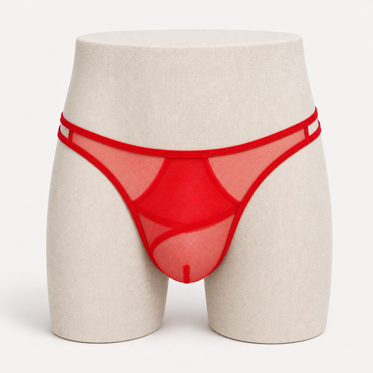 Sheer Mesh Bikini Briefs